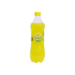 1 Koli Sarıyer Limonata 250 Ml Pet 24'Lü